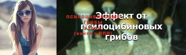 стафф Михайловск