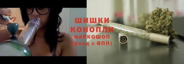 тгк Весьегонск