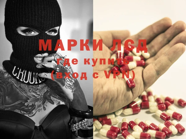 стафф Михайловск